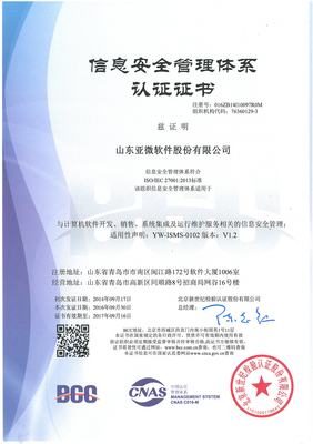 山東亞微軟件 深耕網(wǎng)絡與信息安全軟件開發(fā)，鑄就數(shù)字時代安全基石